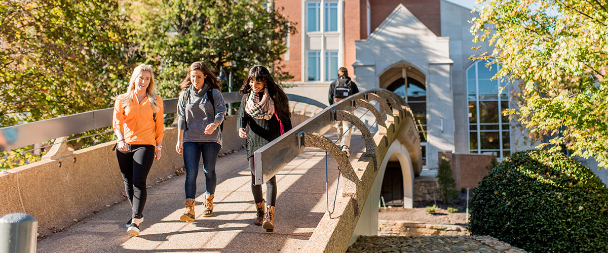 Students walking over the pedestrian bridge